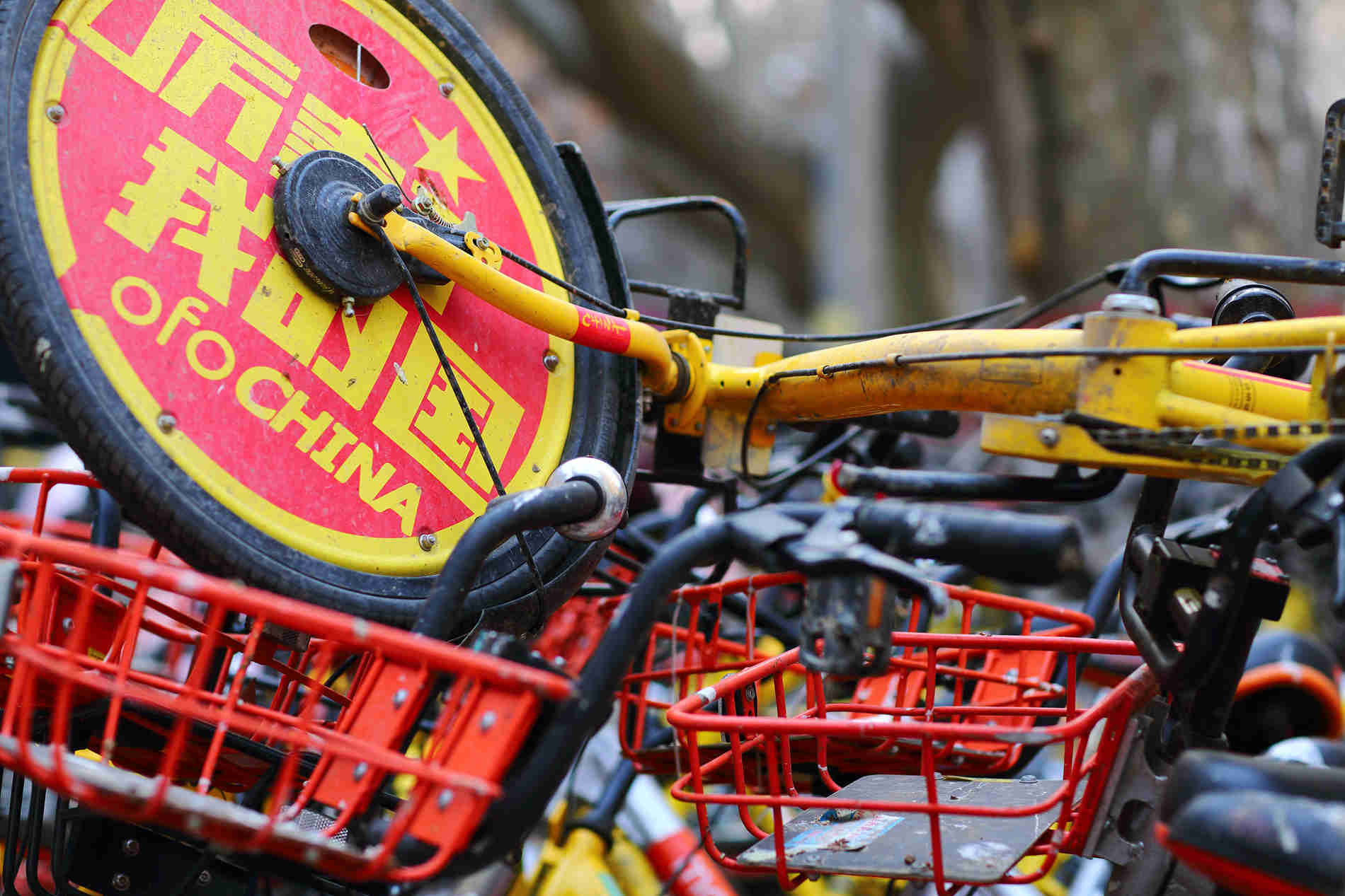 OFO  
