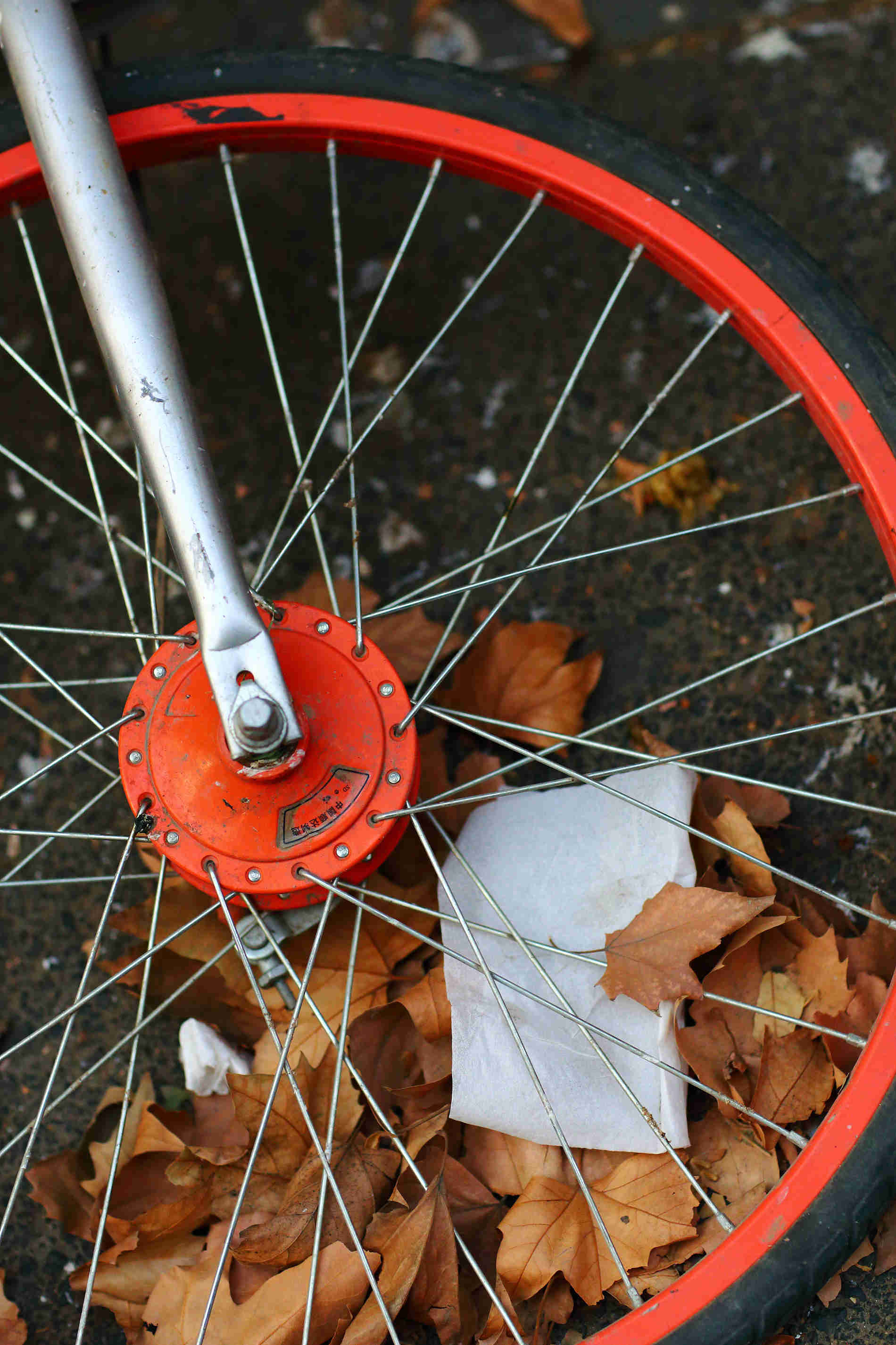 OFO  