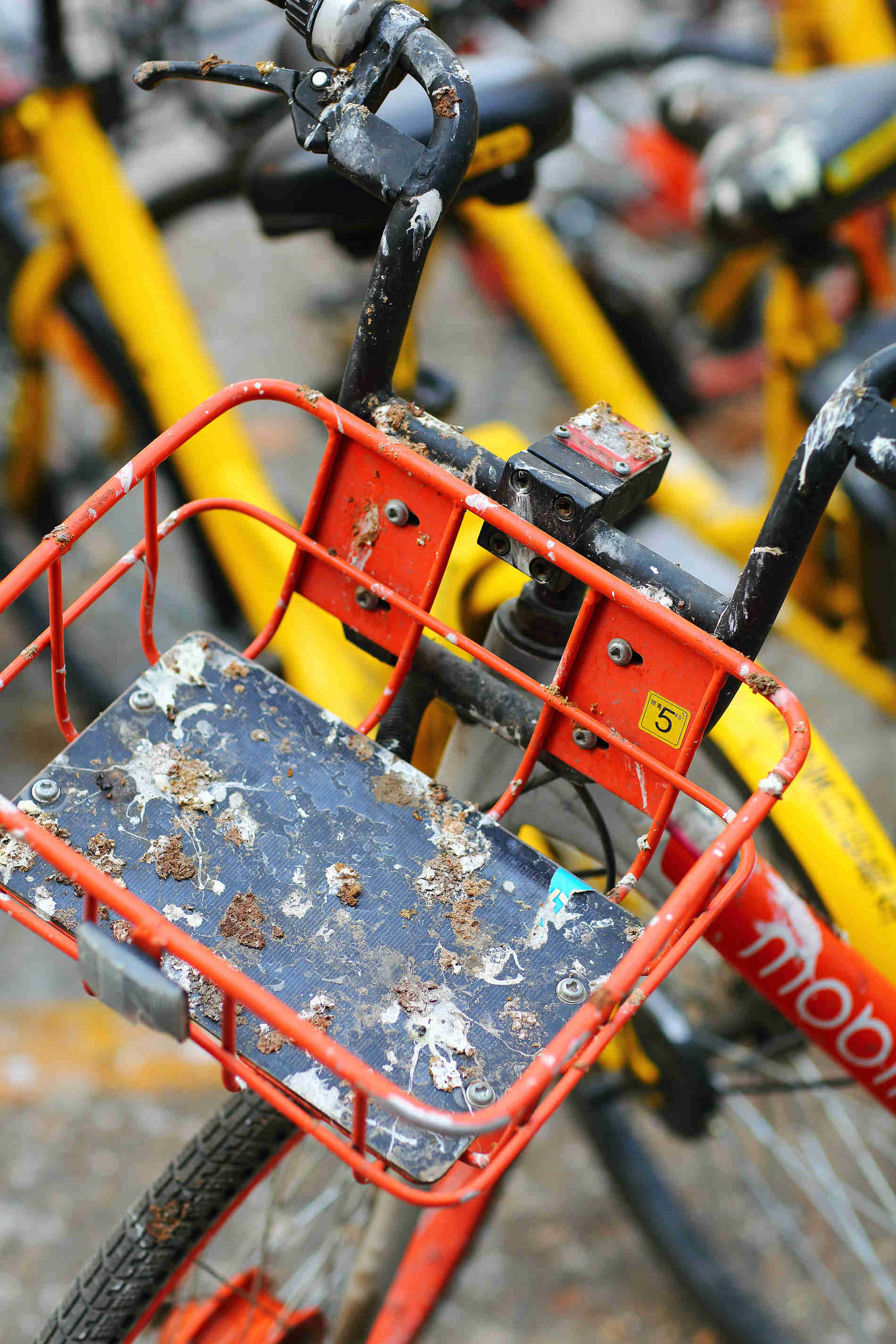 OFO  