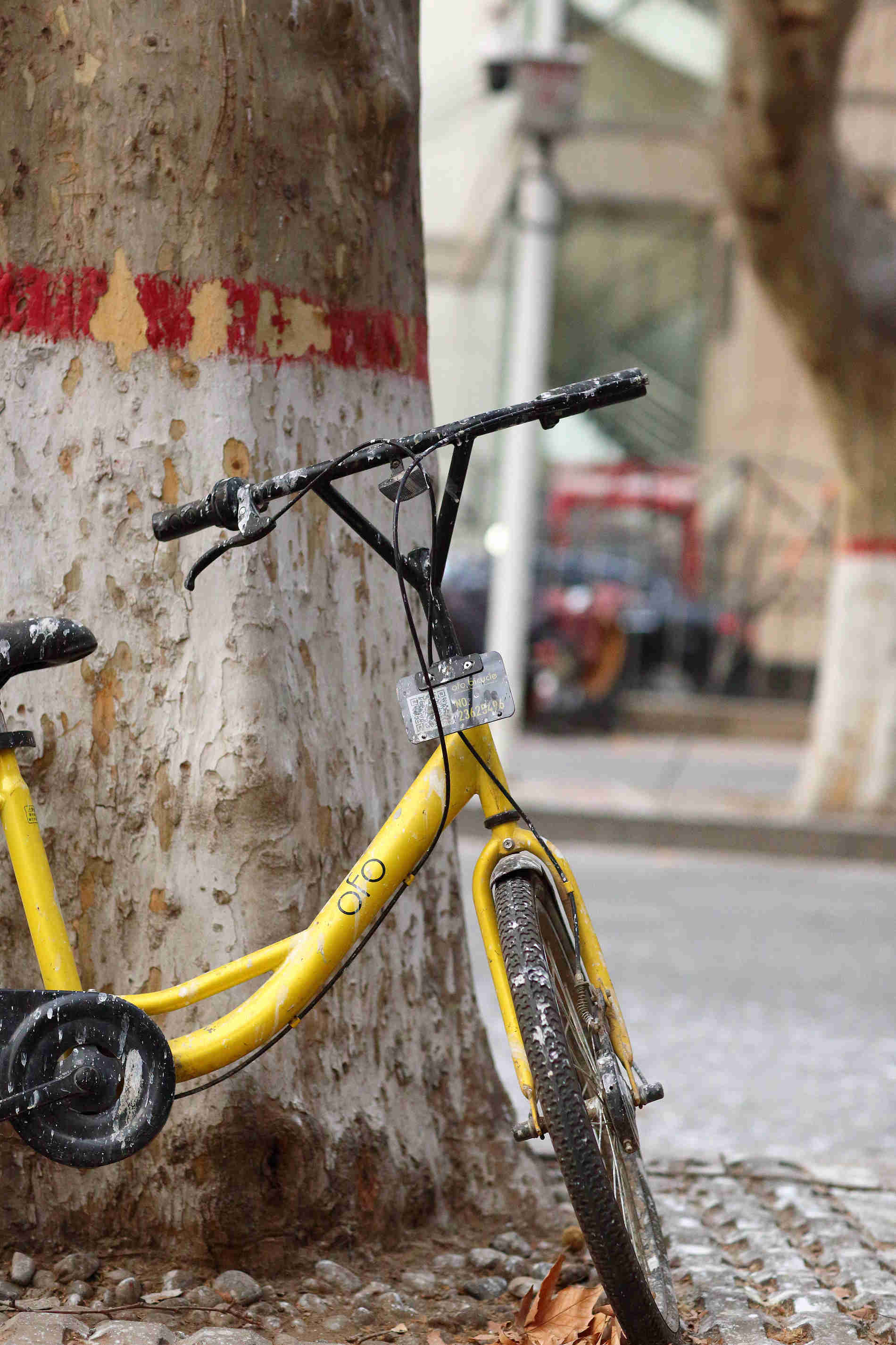 OFO  