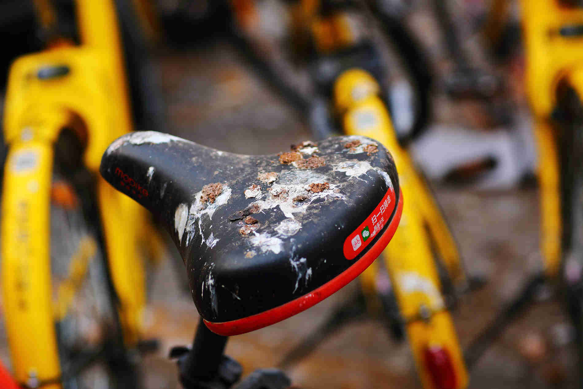 OFO  