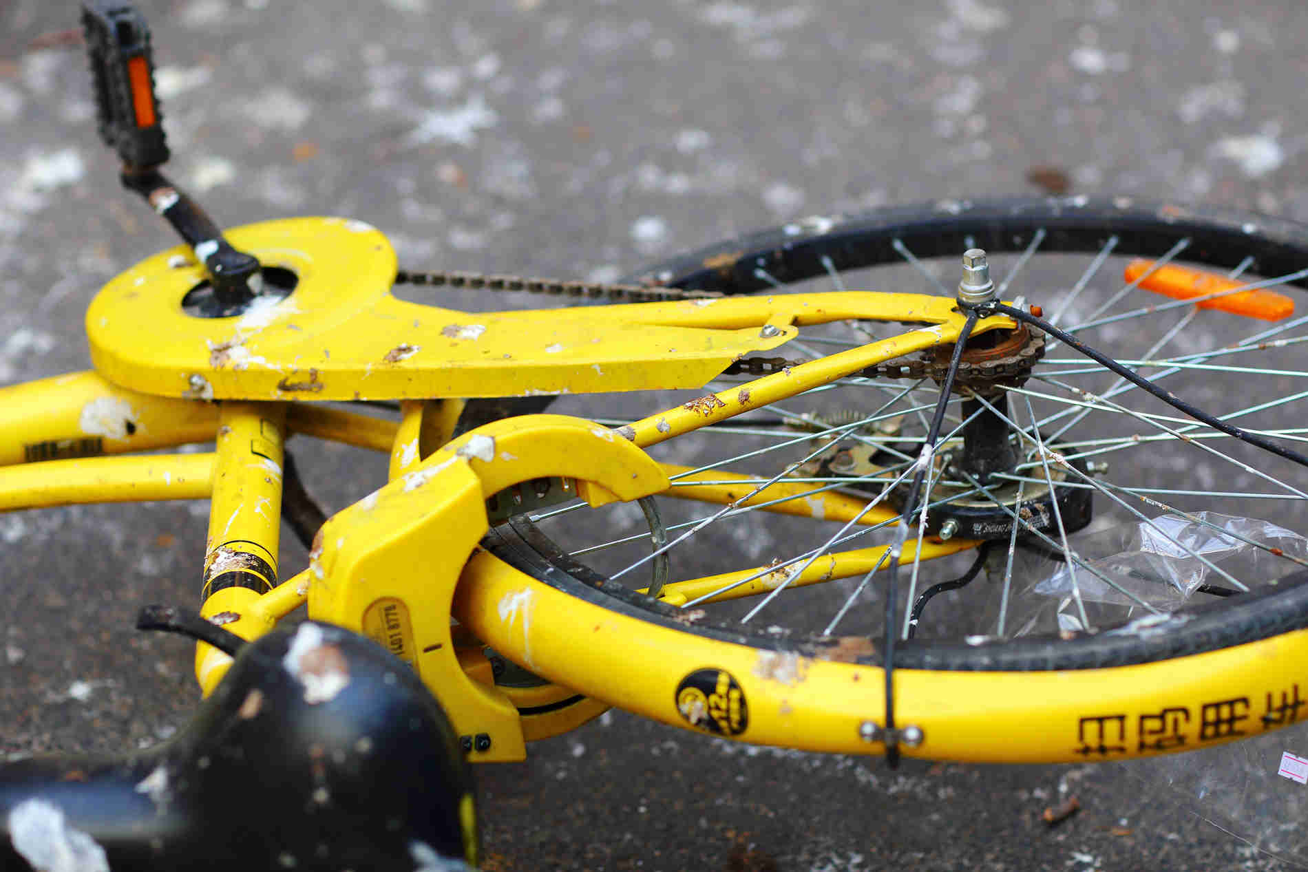OFO  