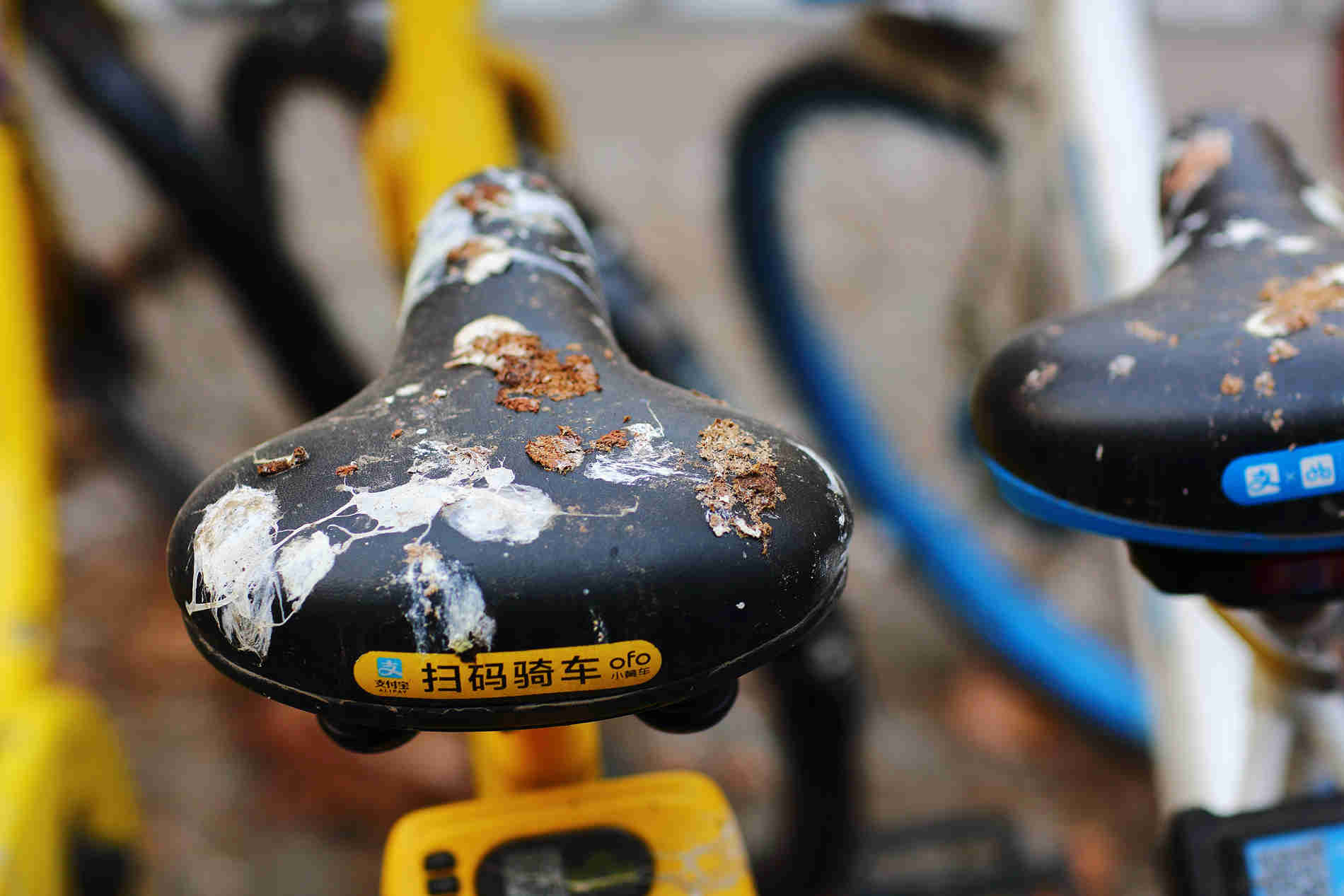 OFO  